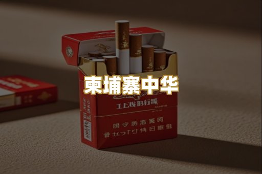 柬埔寨中华